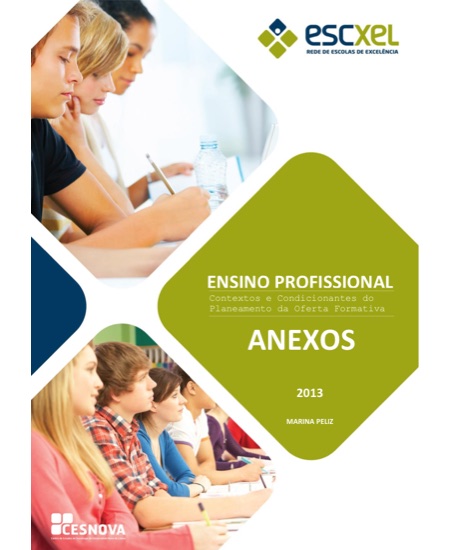 Relatório Ensino Profissional